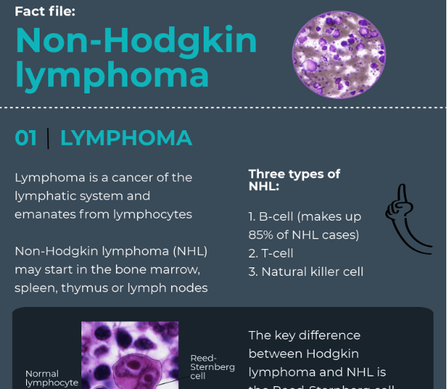 Non Hodgkin Lymphoma Infographic Oncology Central