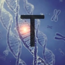 Tumor mutation burden (TMB) is a promising predictive biomarker, which could potentially lead the way for immuno-oncology to enter a new era of precision medicine. 