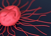 prostate cancer treatment delays