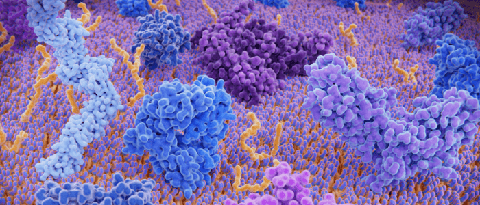 prostate cancer metastasis