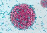 immune checkpoint inhibitors