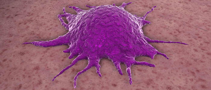 ATR inhibitors target DNA damage repair with promising efficacy in tumors