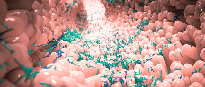 lung microbiome