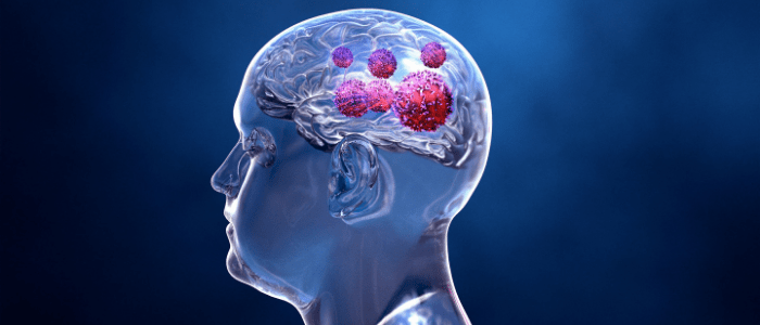 CD161 receptor