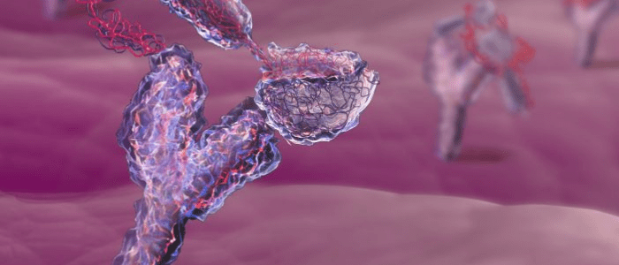 immuno-oncology, immunology, pd-l1