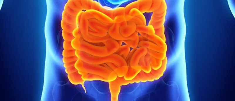 NICE approval of nivolumab plus ipilimumab therapy in England and Wales for patients with MSI-H/dMMR advanced bowel cancer.