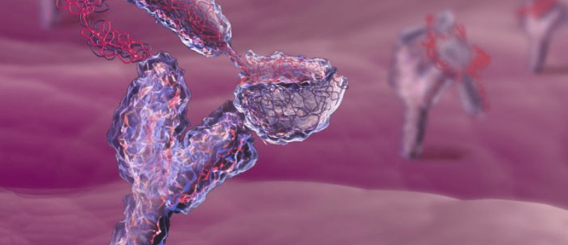 immunotherapy, immuno-oncology