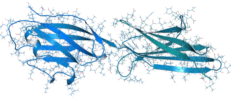 pembrolizumab