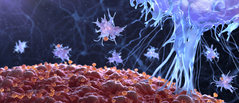 immuno-oncology advancements