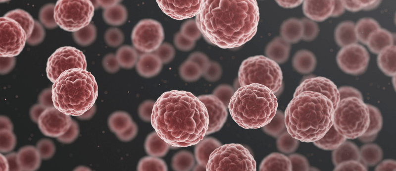 Researchers have identified the DDR1 molecule that prevents immune cells from infiltrating and destroying breast cancer cells in aggressive, triple-negative breast cancer.
