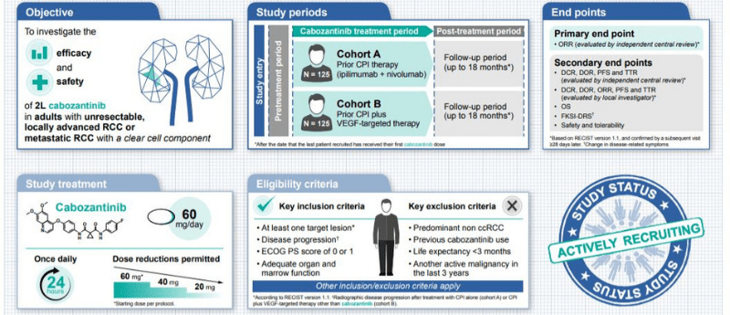 CaboPoint: a Phase II study of cabozantinib as second-line treatment in patients with metastatic renal cell carcinoma