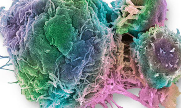 future oncology care