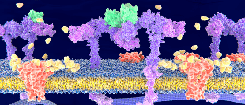 tyrosine kinase