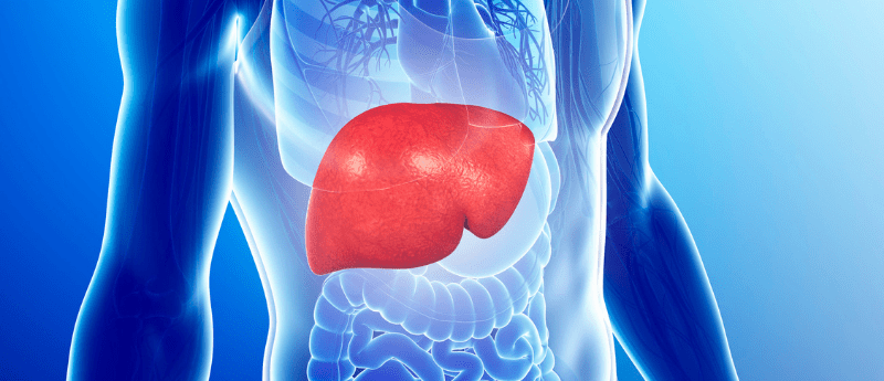 hepatocellular carcinoma