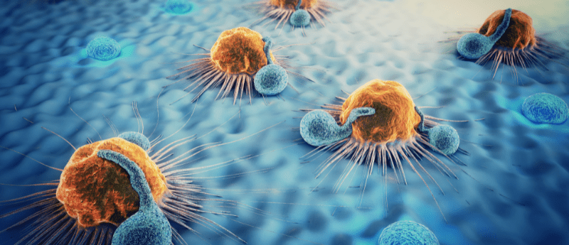 Anti-CD19