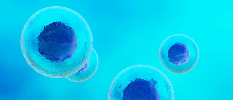 T cell therapy