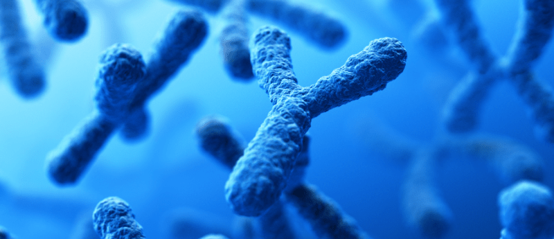 loss of y chromosome