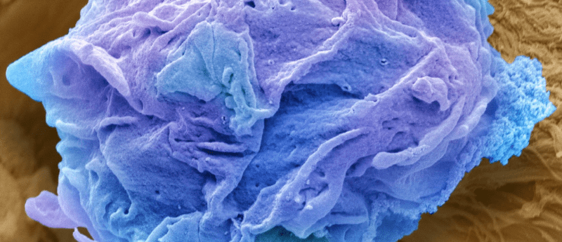 top 10 oncology central