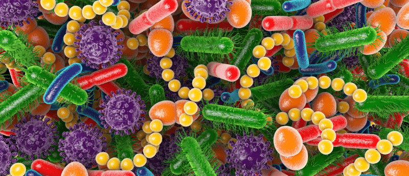 microbiome cancer
