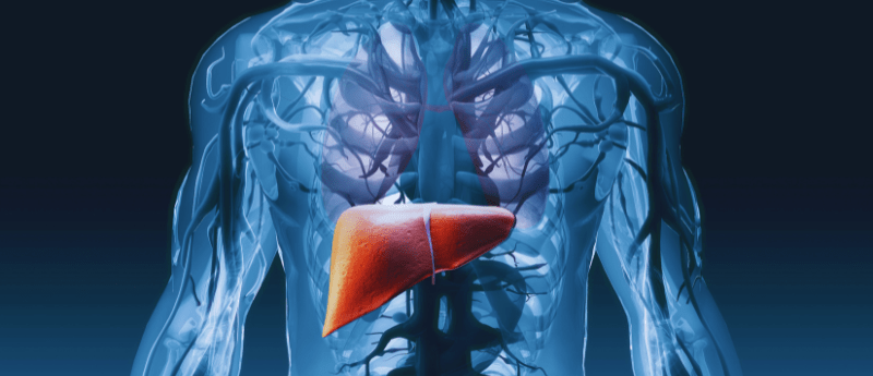 hepatocellular carcinoma