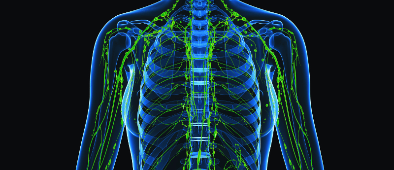 nivolumab
